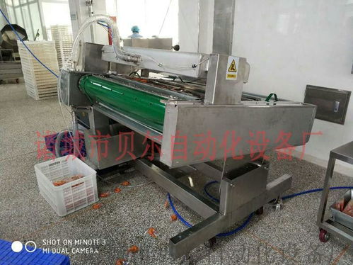 山东贝尔厂家直销 休闲食品真空包装机械的卓越选择