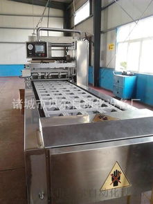 中国气调包装机排名前三品牌 贝尔全自动盒式包装机及其应用